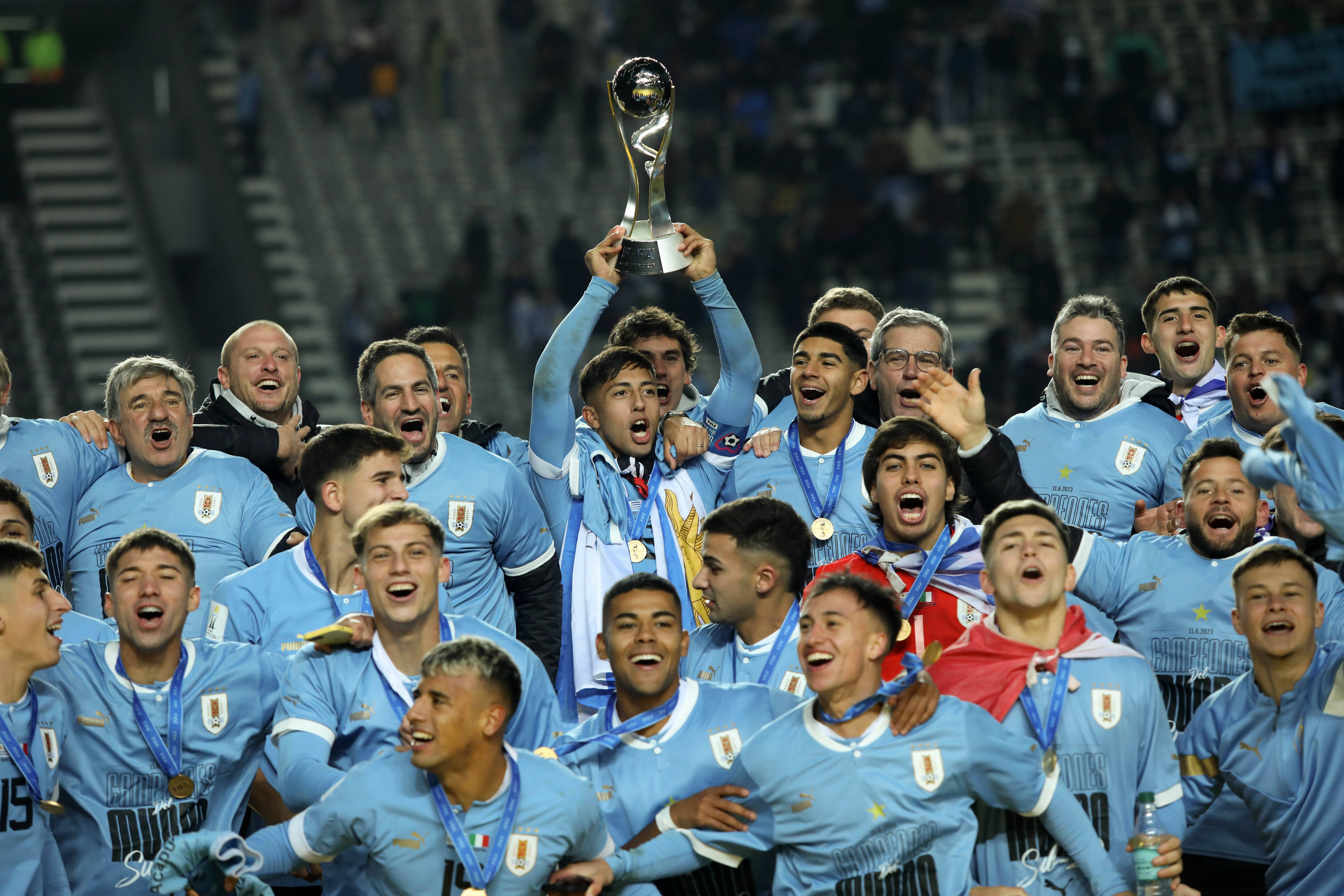 Argentina World Cup qualifying (Argentina qualifying for the World Cup qualifying)